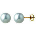 Boucles d'oreille sur Grenoble : Boucles oreilles Brillaxis Boucles d'oreilles or perle Akoya du Japon