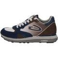 Baskets Alberto Guardiani -