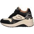Baskets femme sur Grenoble : Baskets basses Alberto Guardiani -