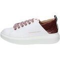 Baskets femme sur Grenoble : Baskets basses Alexander Smith -