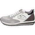 Baskets homme sur Grenoble : Baskets basses Alberto Guardiani -