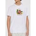 Tee-shirts sur Grenoble : T-shirt Dsquared -