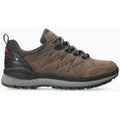 Randonn&eacute;e sur Grenoble : Chaussures Mephisto Chaussures en cuir RAKE-OFF-TEX.P2006728 Marron