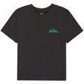 Tee-shirts sur Grenoble : T-shirt Quiksilver Standard