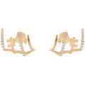 Boucles d'oreille sur Grenoble : Boucles oreilles Elisabetta Franchi Orecchini
