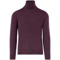 Pulls/Sweat sur Grenoble : Pull Paolo Pecora -