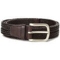 Ceintures sur Grenoble : Ceinture Orciani -