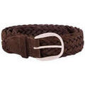 Ceintures sur Grenoble : Ceinture Orciani -