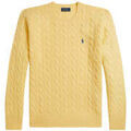 Pull Polo Ralph Lauren -