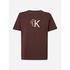 T-shirt Calvin Klein Jeans Lv14re829g Ss 30s Whsl