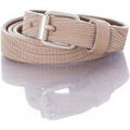 Ceintures sur Grenoble : Ceinture Vanzetti V5094A6517 118