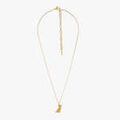 Collier Lollipops Collier pendentif chien Acier Dor&eacute; Grenoble