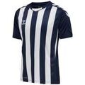 Tee-shirts sur Grenoble : T-shirt hummel T-shirt Core XK Ray&eacute; Bleu