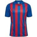 Tee-shirts sur Grenoble : T-shirt hummel T-shirt Core XK bleu