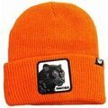 Bonnets sur Grenoble : Bonnet Goorin Bros -