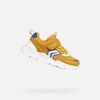 Baskets basses enfant Geox J LOFTUS BOY