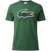 T-shirt enfant Lacoste Junior