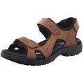 Randonn&eacute;e sur Grenoble : Chaussures Ecco - Marron