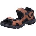 Randonn&eacute;e sur Grenoble : Chaussures Ecco - Marron