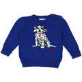 Pulls/Sweat sur Grenoble : Pull enfant Ralph Lauren Pull - Bleu - 12 mois - Tr&egrave;s bon &eacute;tat Bleu