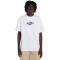 Tee-shirts sur Grenoble : T-shirt Element Sunday