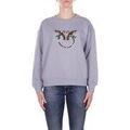 Pull sur Grenoble : Pull Pinko 100534A33G