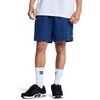 Short DC Shoes Flow Down