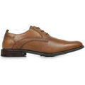 Chaussures sur Grenoble : Ville basse Redskins Camden