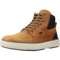Bottes homme sur Grenoble : Bottes Geox U Cervino B Abx B