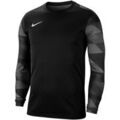 Tee-shirts sur Grenoble : T-shirt Nike Dry Park IV M