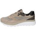 Baskets homme sur Grenoble : Baskets basses Geox -