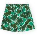 Short Compania Fantastica COMPA�IA FANT�STICA Shorts 43006 - Conversational 15 Vert Grenoble