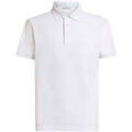 Polos sur Grenoble : Polo Etro Polo