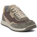 Baskets basses IgI&CO STUART MILITARE