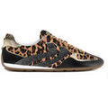 Baskets femme sur Grenoble : Baskets Steve Madden - Sneakers ABBI L&eacute;opard Marron