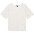 Pull Caroll 196707VTPE26
