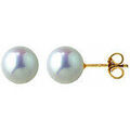 Boucles d'oreille sur Grenoble : Boucles oreilles Brillaxis Boucles d'oreilles perles Akoya 7mm or