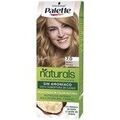 Sant&eacute; / beaut&eacute; sur Grenoble : Colorations Palette Teinture Natural 7.0-blond Moyen
