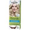 Colorations Palette Teinture Naturelle 12.1 - Blond Extra Clair Cendr&eacute;