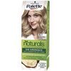 Colorations Palette Teinture Natural 8.1-blond Clair Glac&eacute;