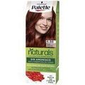 Sant&eacute; / beaut&eacute; sur Grenoble : Colorations Palette Naturelle Teinture 6.88-rouge Intense