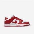 Baskets homme sur Grenoble : Baskets basses Nike Dunk Low SP St. John's