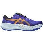 Chaussures Asics 1011C166