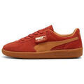 Baskets homme sur Grenoble : Baskets basses Puma PALERMO