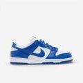 Baskets basses Nike Dunk Low SP Kentucky
