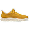 Baskets homme sur Grenoble : Baskets basses Geox u55mpa