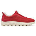 Baskets homme sur Grenoble : Baskets basses Geox u55mpa