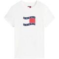 T-shirt Tommy Hilfiger DW0DW22781 Grenoble