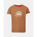 Tee-shirts sur Grenoble : T-shirt Kilpi Maillot en coton pour gar&ccedil;on ALBION-JB Marron