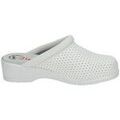 Equipement de protection EPI sur Grenoble : Chaussures Dchus -